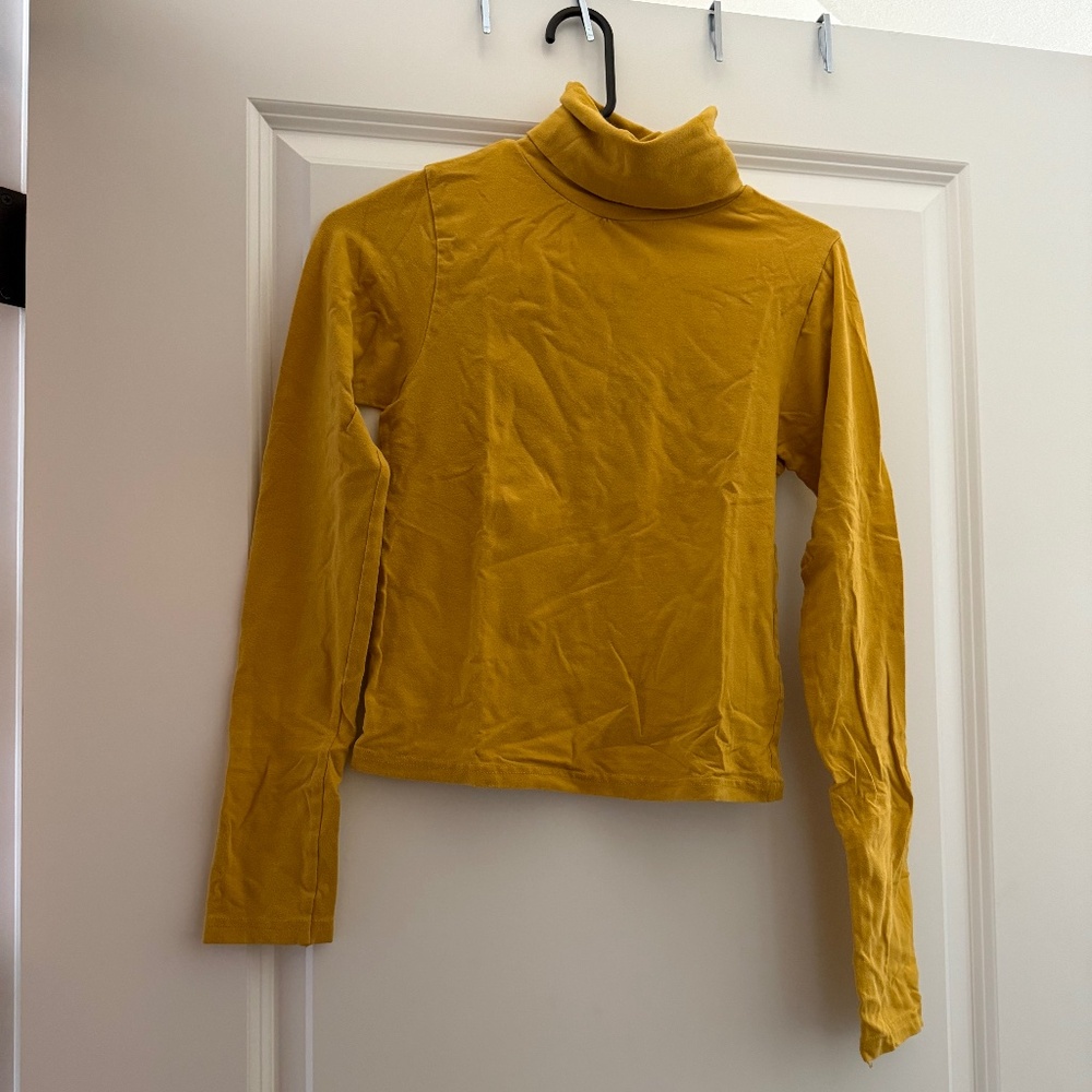 American Apparel Turtleneck Top